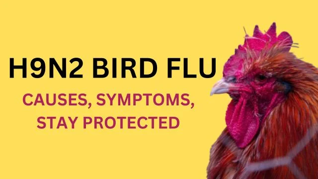 H9N2 Bird Flu in India