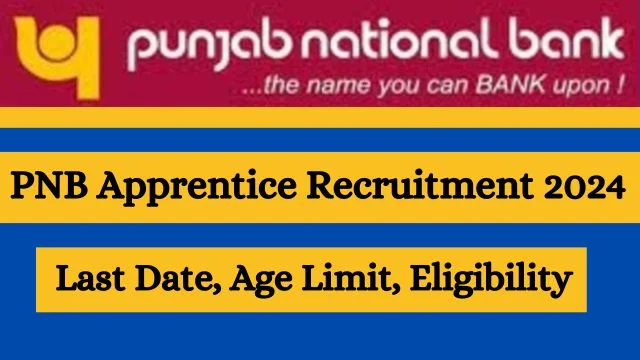 PNB Apprentice Recruitment 2024